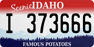 ID license plate I373666
