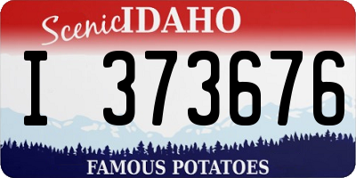 ID license plate I373676