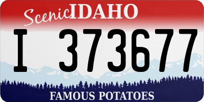 ID license plate I373677