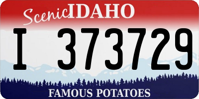 ID license plate I373729