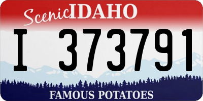 ID license plate I373791
