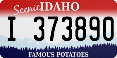 ID license plate I373890