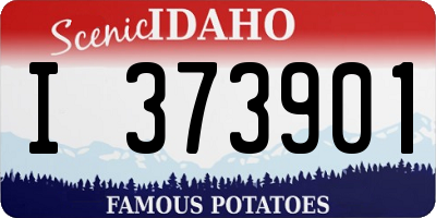 ID license plate I373901