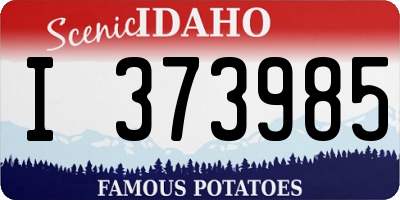 ID license plate I373985