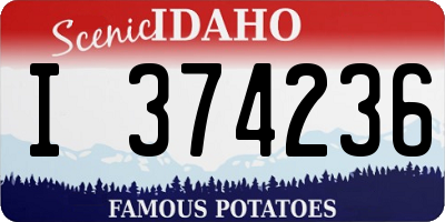 ID license plate I374236