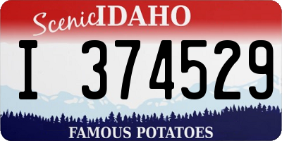 ID license plate I374529