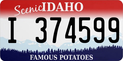 ID license plate I374599