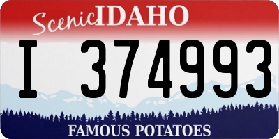 ID license plate I374993