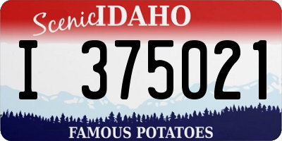 ID license plate I375021