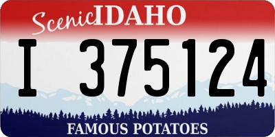 ID license plate I375124