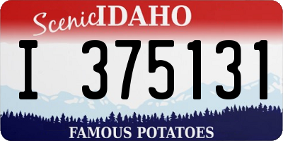 ID license plate I375131