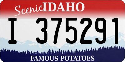 ID license plate I375291