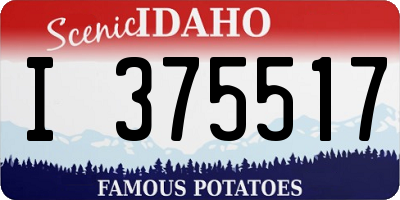 ID license plate I375517