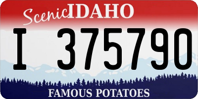 ID license plate I375790
