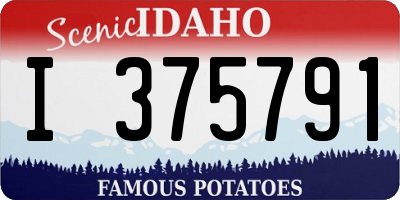 ID license plate I375791