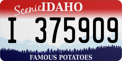 ID license plate I375909
