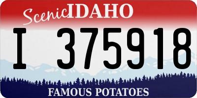 ID license plate I375918