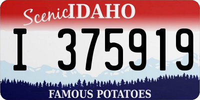 ID license plate I375919