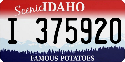 ID license plate I375920