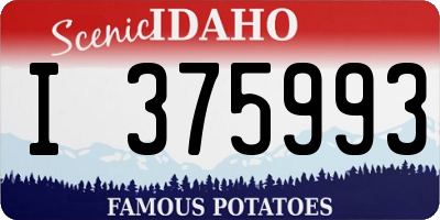 ID license plate I375993