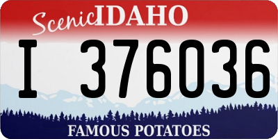 ID license plate I376036
