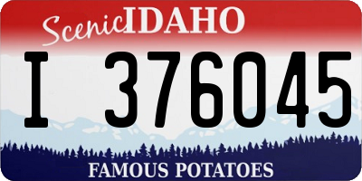ID license plate I376045