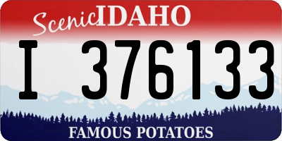 ID license plate I376133