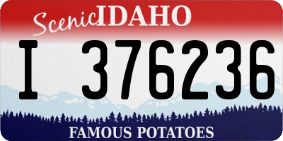 ID license plate I376236