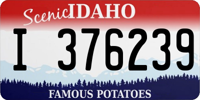 ID license plate I376239