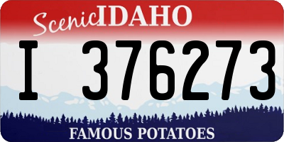 ID license plate I376273
