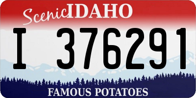 ID license plate I376291
