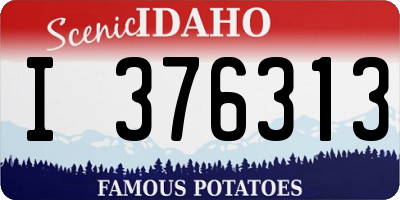 ID license plate I376313