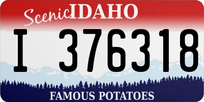 ID license plate I376318