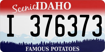 ID license plate I376373