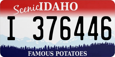 ID license plate I376446