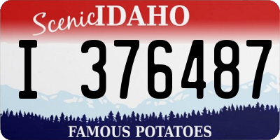 ID license plate I376487