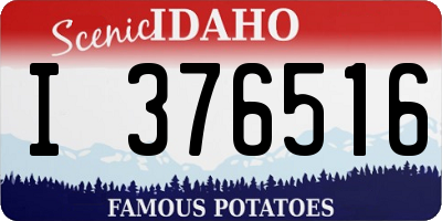ID license plate I376516