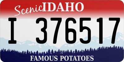ID license plate I376517