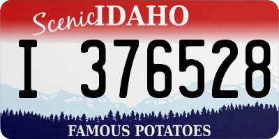 ID license plate I376528