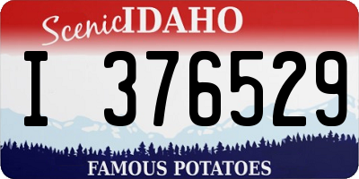 ID license plate I376529