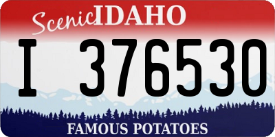 ID license plate I376530