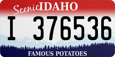ID license plate I376536