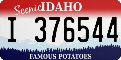 ID license plate I376544