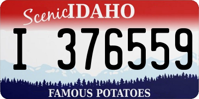 ID license plate I376559