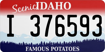 ID license plate I376593