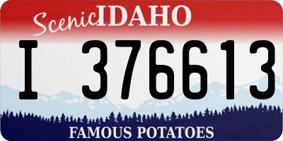 ID license plate I376613