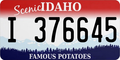 ID license plate I376645