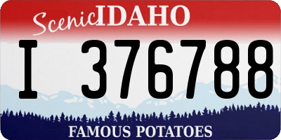 ID license plate I376788