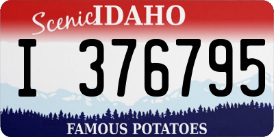ID license plate I376795