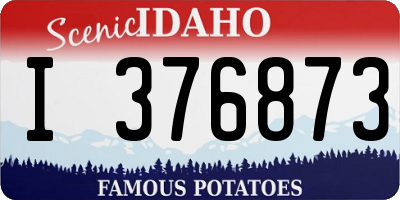 ID license plate I376873